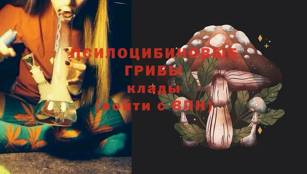 героин Богданович